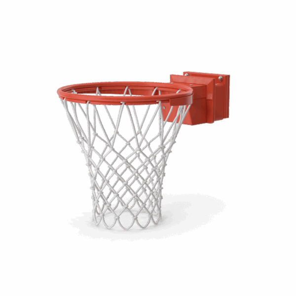Basketball Net